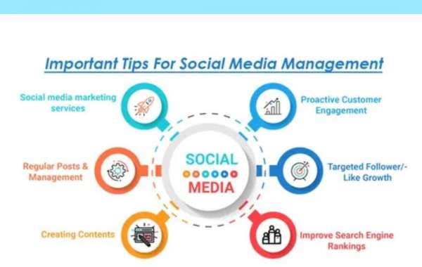 Maximizing Your Brand's Potential with Effective Social Media Management Strategies:Prontosys IT Services
