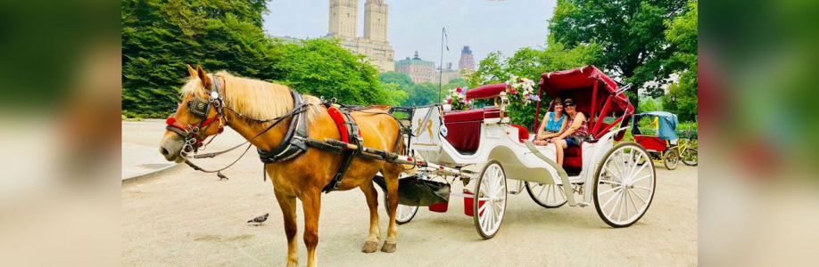 Central Park Carriage Tours Cover Image