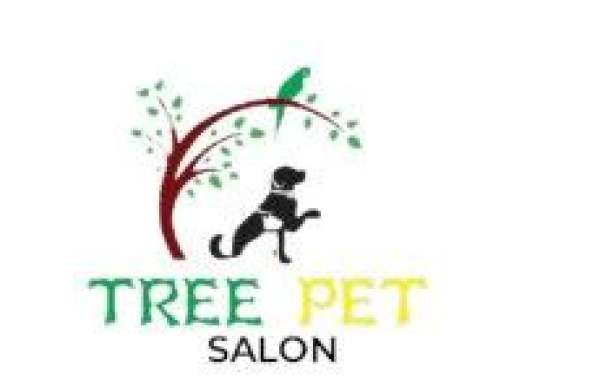 Find Quality Dog Accessories at Tree Pet Store, Dubai