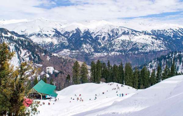 Discover Romance in Shimla