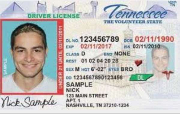 Design and Security Features of an Ohio Driver’s License: What to Know Before Using a Template