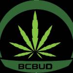 BCBUD Profile Picture