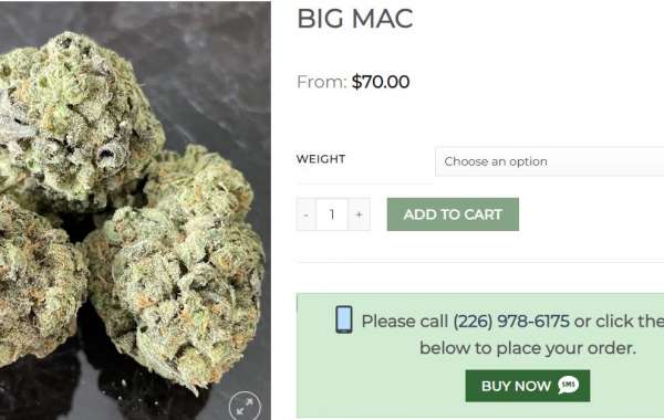 Uncover the Potency of the Big Mac Weed Strain