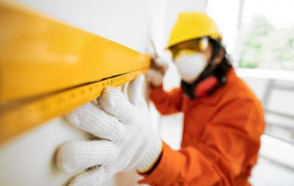 The Ultimate Checklist for Mold Remediation Experts