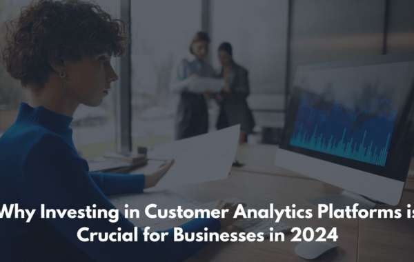 Why Investing in Customer Analytics Platforms is Crucial for Businesses in 2024