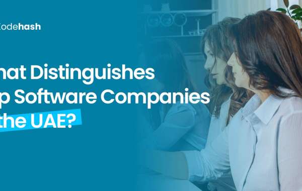 Why Choose Kodehash for Your Next Software Project in Dubai?