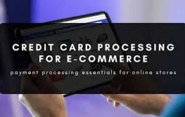 Mastering Secure Processing Credit Card Payments