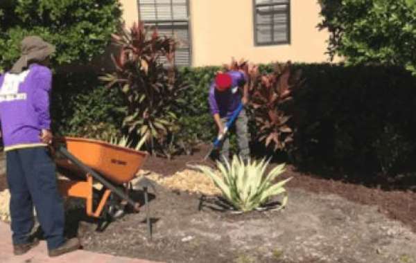 Longboat Key Lawn Care: Mastering the Art of Lawn Mowing