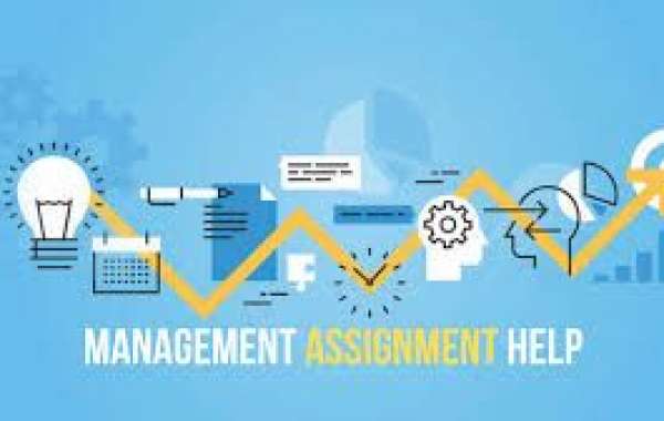 Comprehensive Assignment Help: Management, Math, and Expert Support by MakeAssignmentHelp