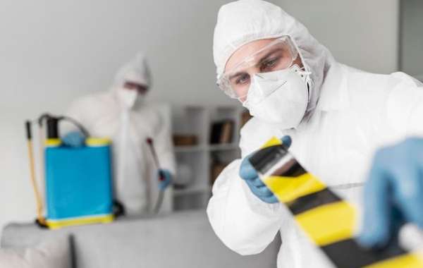 Understanding the Importance of Mold Removal Service