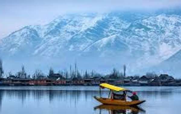 Honeymoon Bliss in Kashmir: Romantic Packages from Jammu