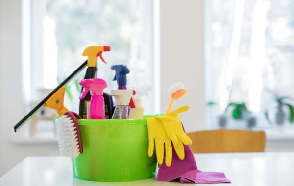 South Korea Household Cleaning Products Market Size, Share: 2024-2032