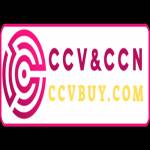 CCV Profile Picture