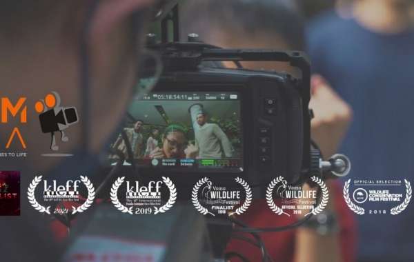 Step-by-Step Guide to Producing a Successful Branding Video in Malaysia
