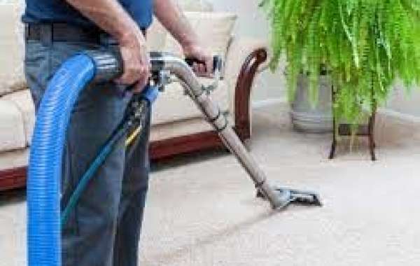 How Professional Carpet Cleaning Enhances Home Living Conditions