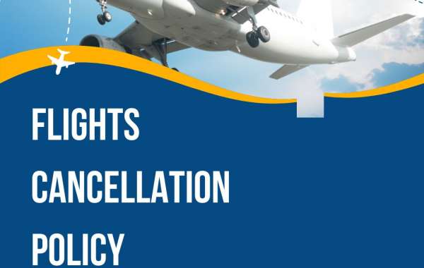 TUI Cancellation Flights Policy: Your Questions Answered +1(877)513-3047