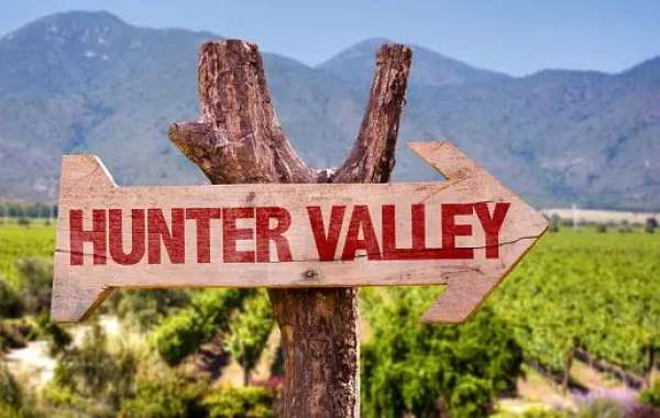 Best hunter valley wineries