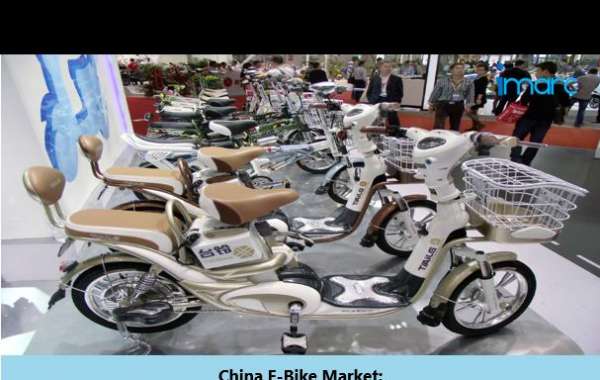 China E-Bike Market Share, Industry Growth Analysis, Size, Report 2024-2032