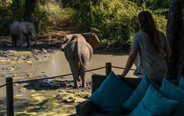 What to Consider When Looking for Luxury Hotels in Zanzibar for an Exciting Vacation