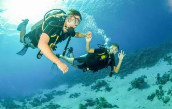 A Comprehensive Guide to Snorkeling in Fujairah