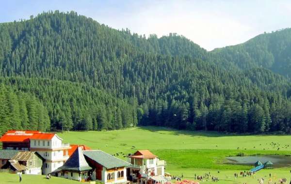 Customized Dharamshala Dalhousie Itinerary: Your Perfect Himalayan Escape