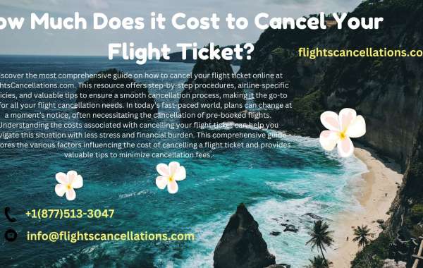 How Much Does it Cost to Cancel Your Flight Ticket?