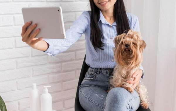 Online Veterinarians: Your Pet's New Ally in Convenient Care