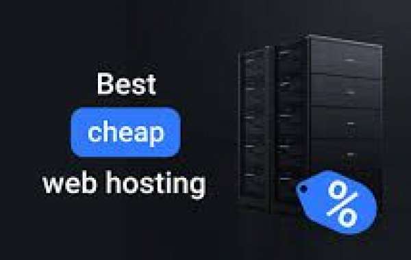 Secure Web Hosting Austin: Protect Your Data