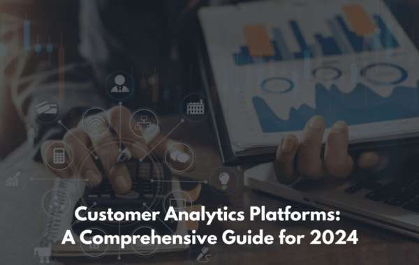 Customer Analytics Platforms: A Comprehensive Guide for 2024