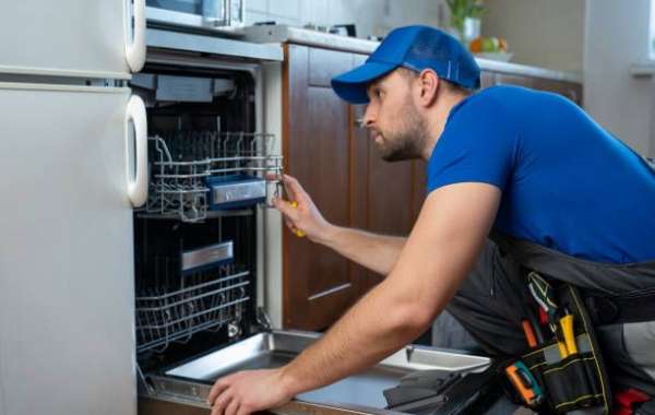 Discover the Perfect Custom Panel Dishwasher for Your Kitchen