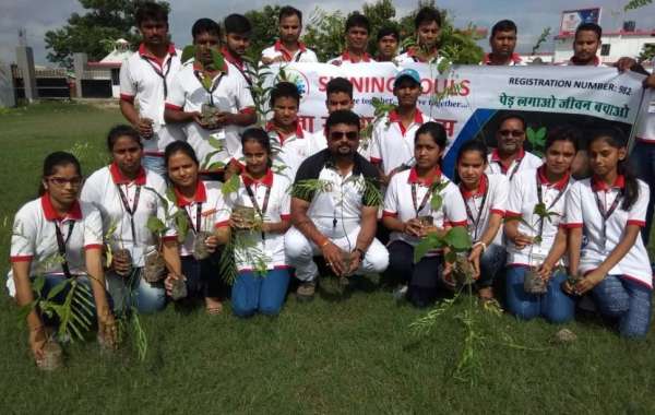 Shining Souls Trust: Leading the Green Revolution as the top NGO in India.