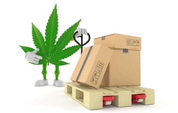 Experience Hassle-Free Cannabis Delivery with Kush Klinic