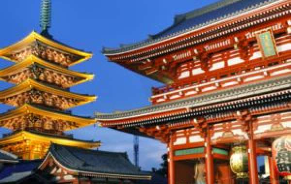 Discover Tokyo: A Private Tour with Expert Chauffeurs