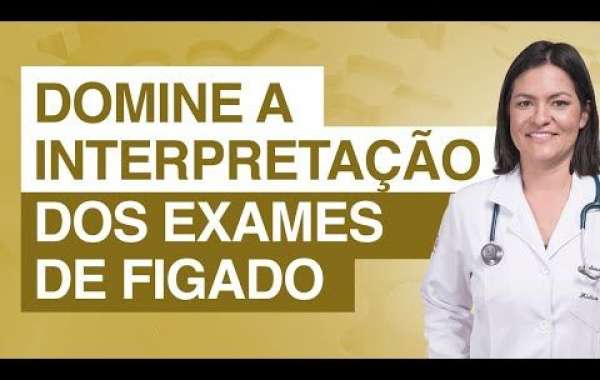 Entenda os Fatores que Influenciam o Preço da Ultrassonografia Veterinária