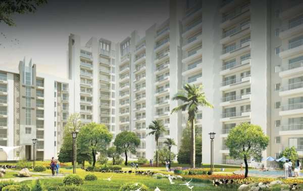 Top Real Estate Developers in Panchkula