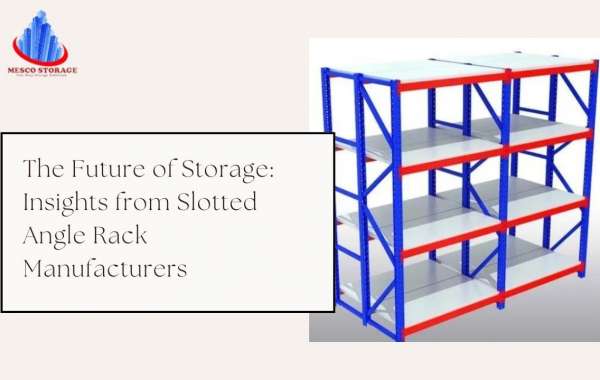 The Future of Storage: Insights from Slotted Angle Rack Manufacturers