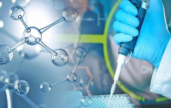 Vietnam Molecular Diagnostics Market Share Size Growth Trends  2024-32