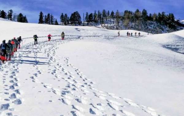 Top Experiences to Enjoy on the Brahmatal Trek