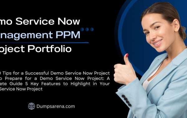 Understanding the Budgetary Aspects of a Demo Service Now Project