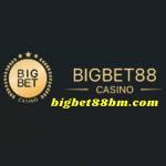 bigbet88bmcom profile picture