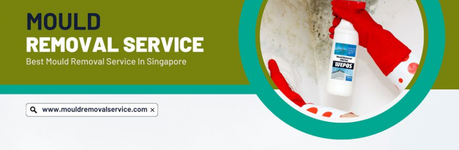 Mould Removal Service Cover Image