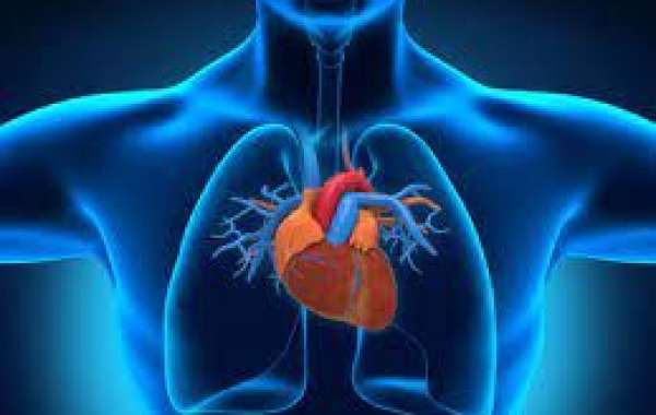 Chennai's Heart Care Excellence: Interventional Cardiology