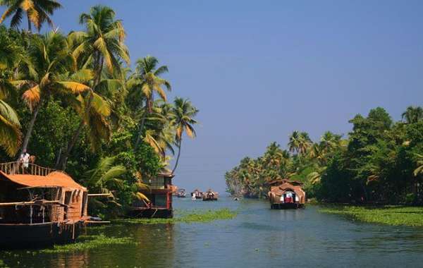 South Kerala Splendors: A Journey Through God's Own Country