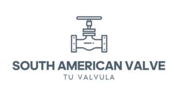 Valve Manufacturer and Supplier in South America