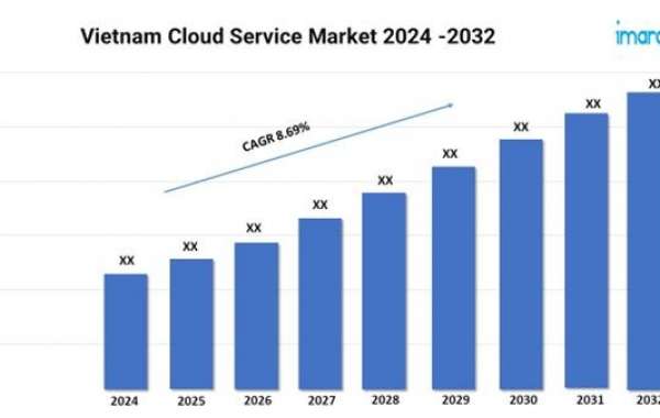 Vietnam Cloud Service Market Size, Trends, Share Report 2024-2032