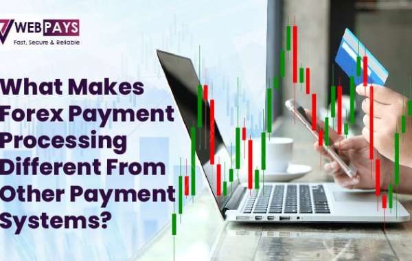 What Makes Forex Payment Processing Different from Other Payment Systems?