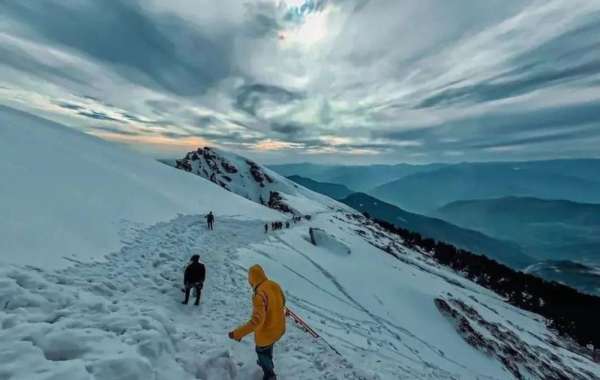 How the Chopta Chandrashila Trek Stands Out Among Himalayan Adventures