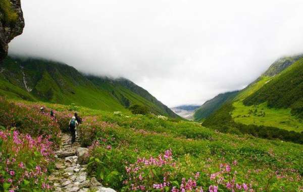 Know the Impact of the Valley of Flowers Trek on Your Wellbeing