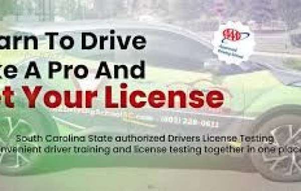 Who Can Help You Learn Driving School in Hanover County?