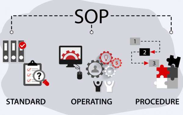 Crafting Success: Expert SOP Development Services in the UK